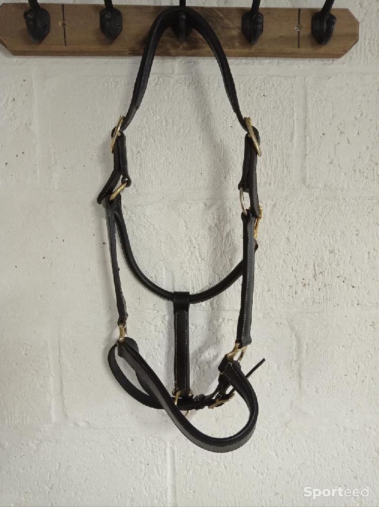 Equitation - Licol cuir noir  - photo 1