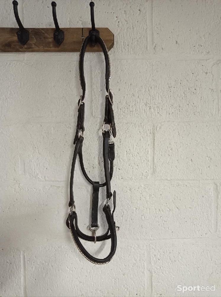 Equitation - Licol cuir noir  - photo 1
