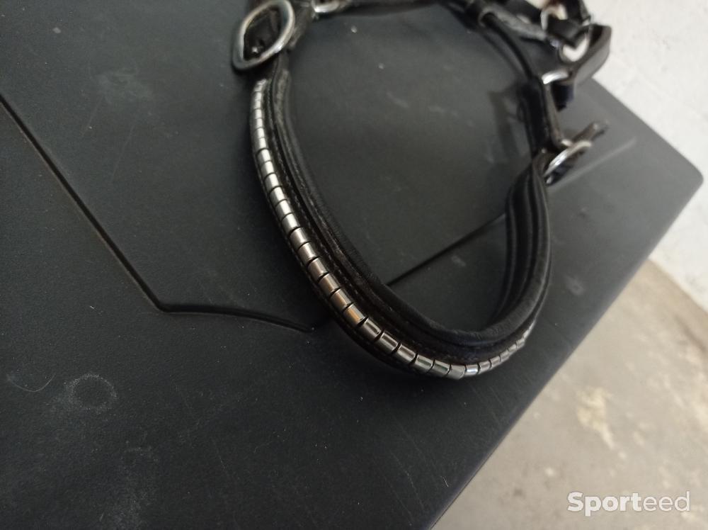 Equitation - Licol cuir noir  - photo 3