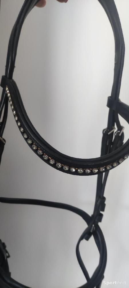 Equitation - Filet Waldhausen Xline New shape noir taille cob  - photo 4