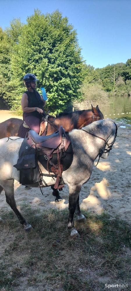 Equitation - Selle de randonnée  - photo 3