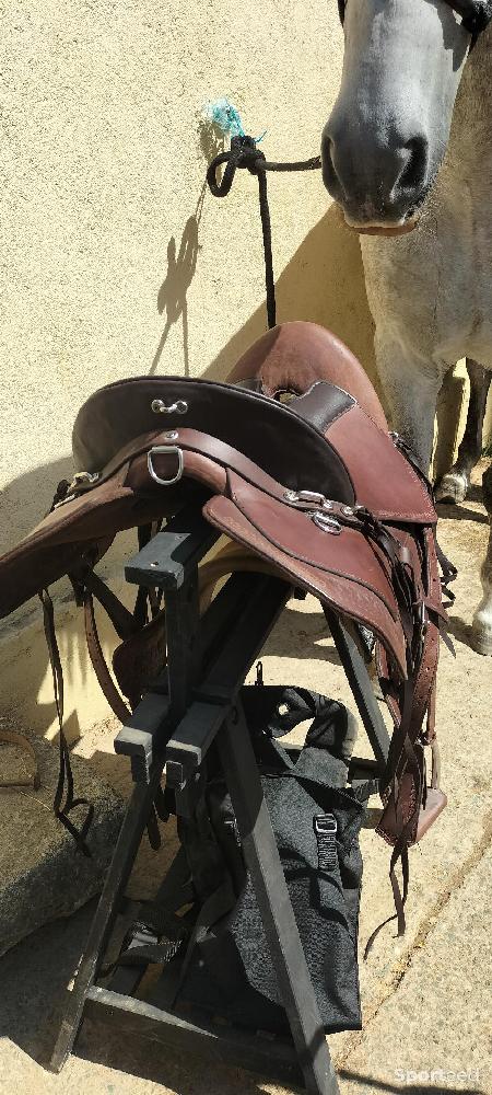Equitation - Selle de randonnée  - photo 5