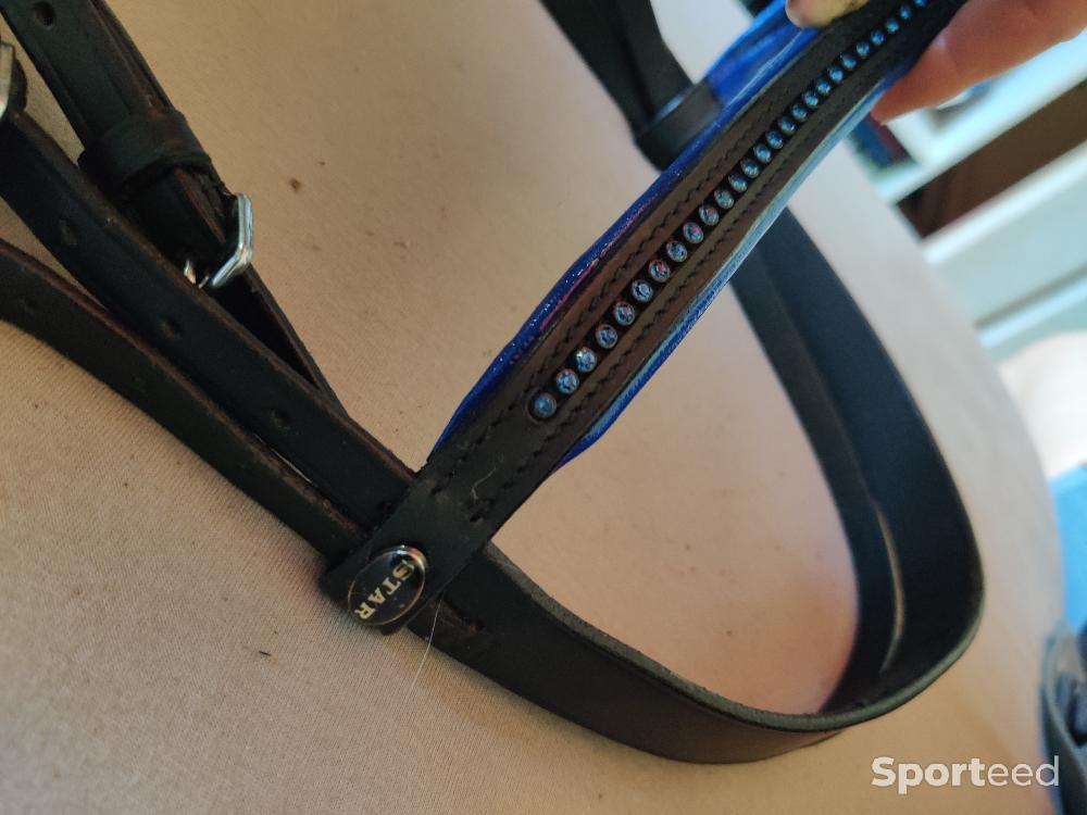 Equitation - Filet star bleu - photo 3