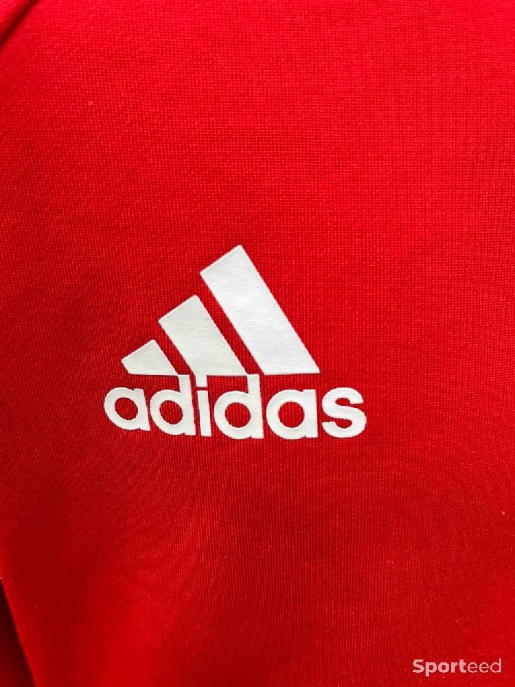 Football - Sweat training Russie  - photo 4