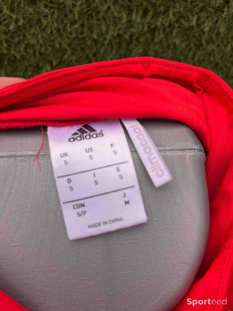 Football - Sweat training Russie  - photo 5
