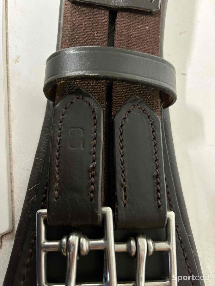 Equitation - Sangle courte - photo 3