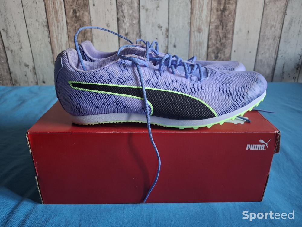 Athlétisme - Puma Evospeed Star 8 M  - photo 2