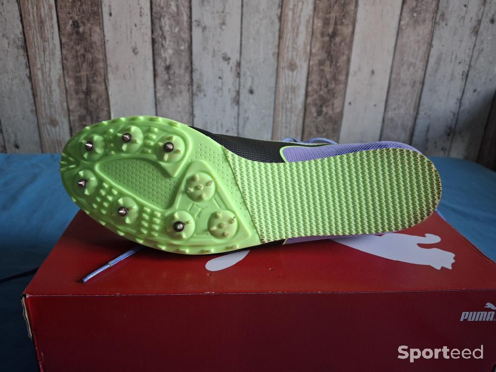 Athlétisme - Puma Evospeed Star 8 M  - photo 4