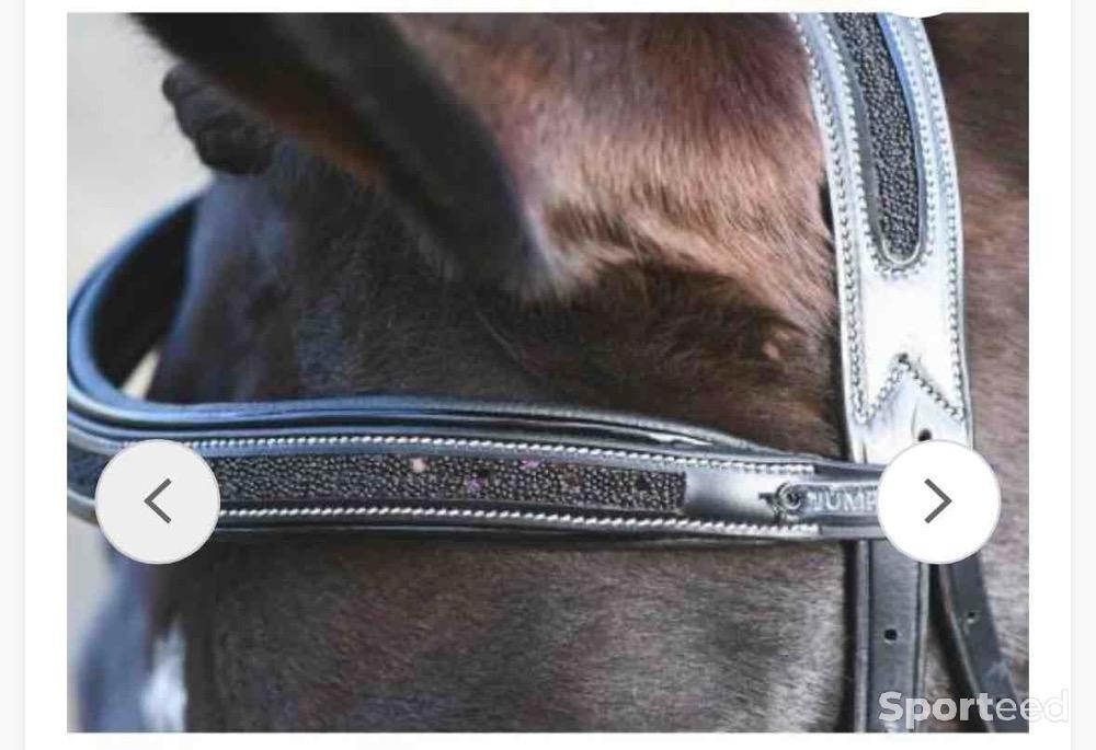 Equitation - Bridon carat noir jumpin - photo 1