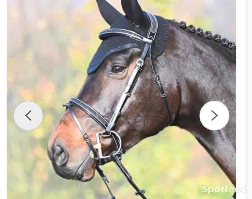 Equitation - Bridon carat noir jumpin - photo 2