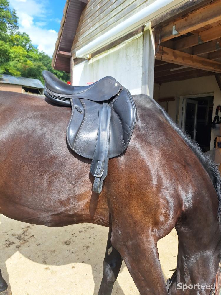 Equitation - Selle mixte 17.5 fleur de lys - photo 4