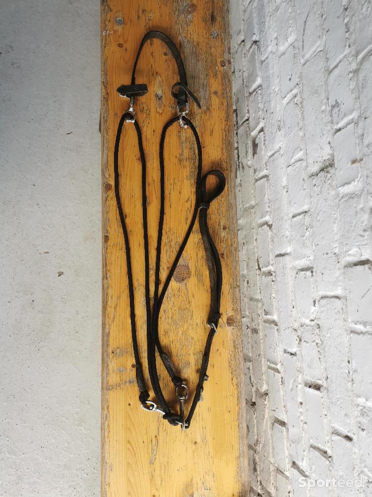 Equitation - Gogue cuir marron - photo 1