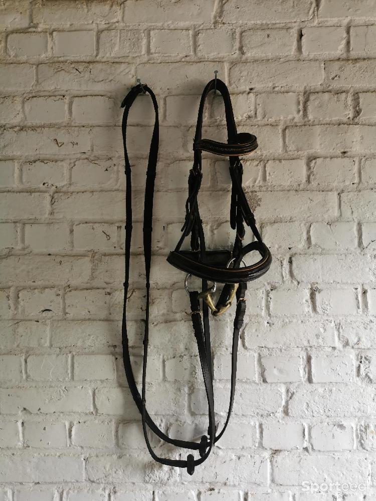Equitation - Bridon marron strass  - photo 2