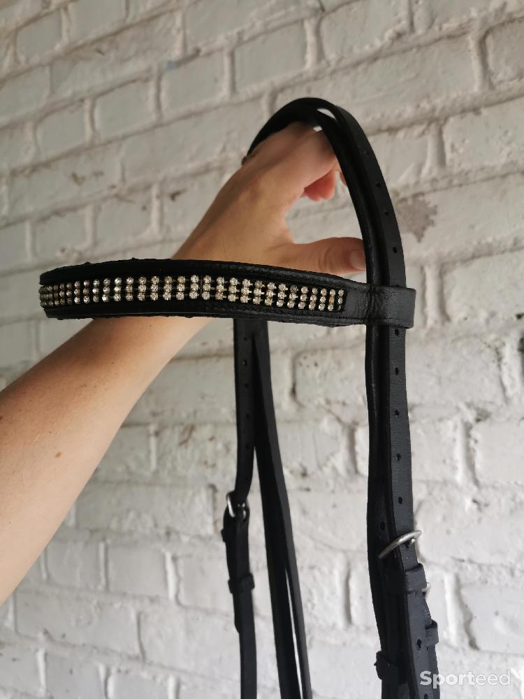 Equitation - Filet strass Norton - photo 1