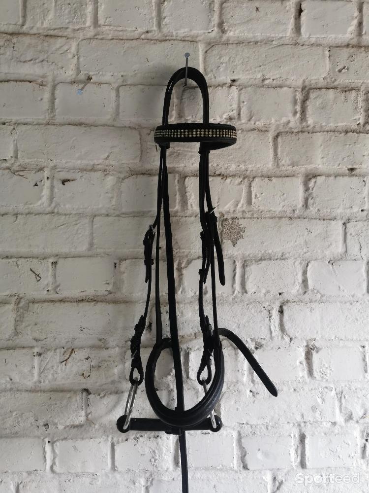 Equitation - Filet strass Norton - photo 2