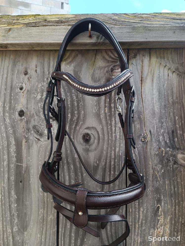 Equitation - Filet CS - photo 3