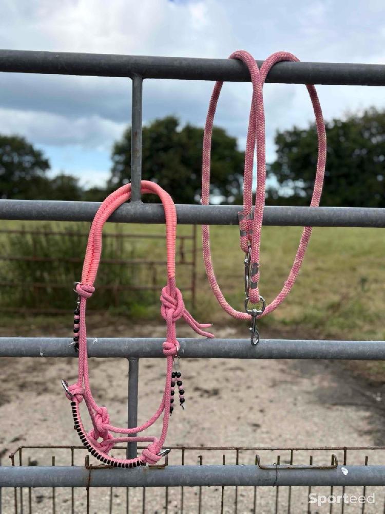 Equitation - licol éthologique rose  - photo 1