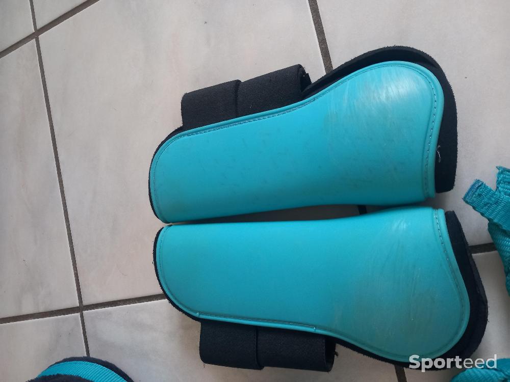 Equitation - Lot licol et guêtres  - photo 2