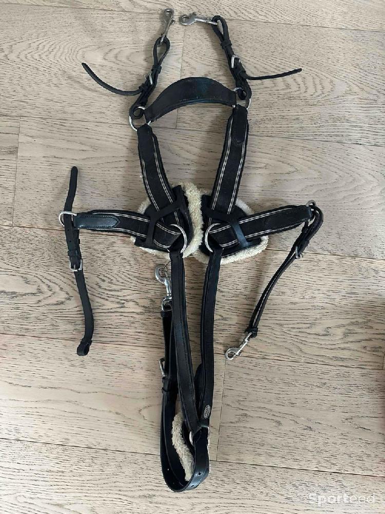 Equitation - Collier de chasse  QHP  - photo 1