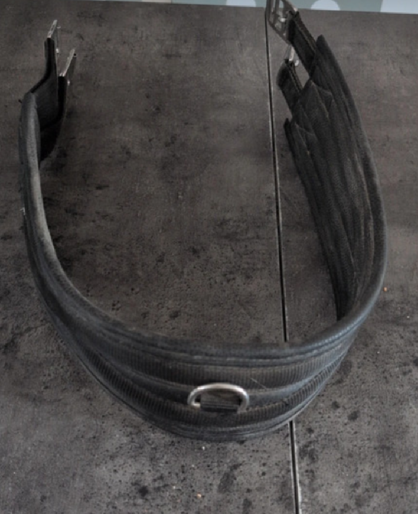 Equitation - Sangle - photo 2