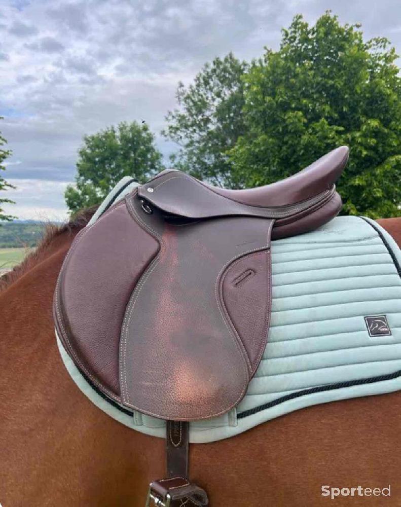 Equitation - Selle mixte  - photo 3