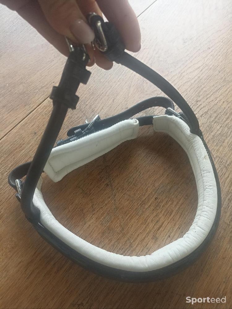 Equitation - Muserolle de dressage cuit rond  - photo 5