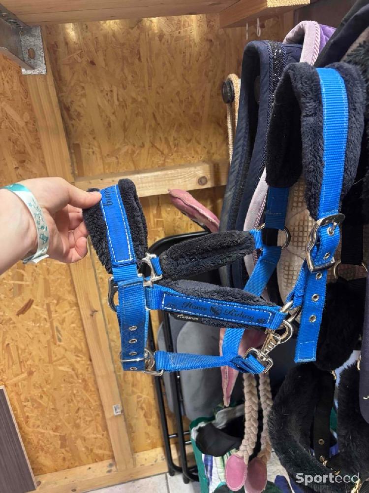 Equitation - Licol et longe bleu roi  - photo 1