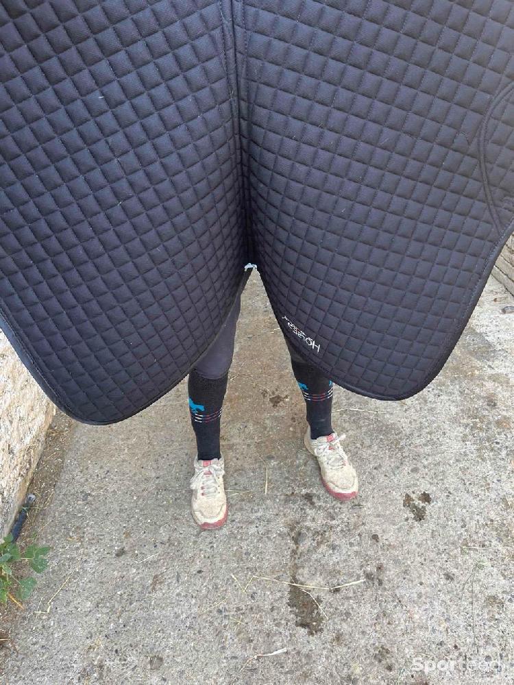 Equitation - Tapis horses  - photo 2