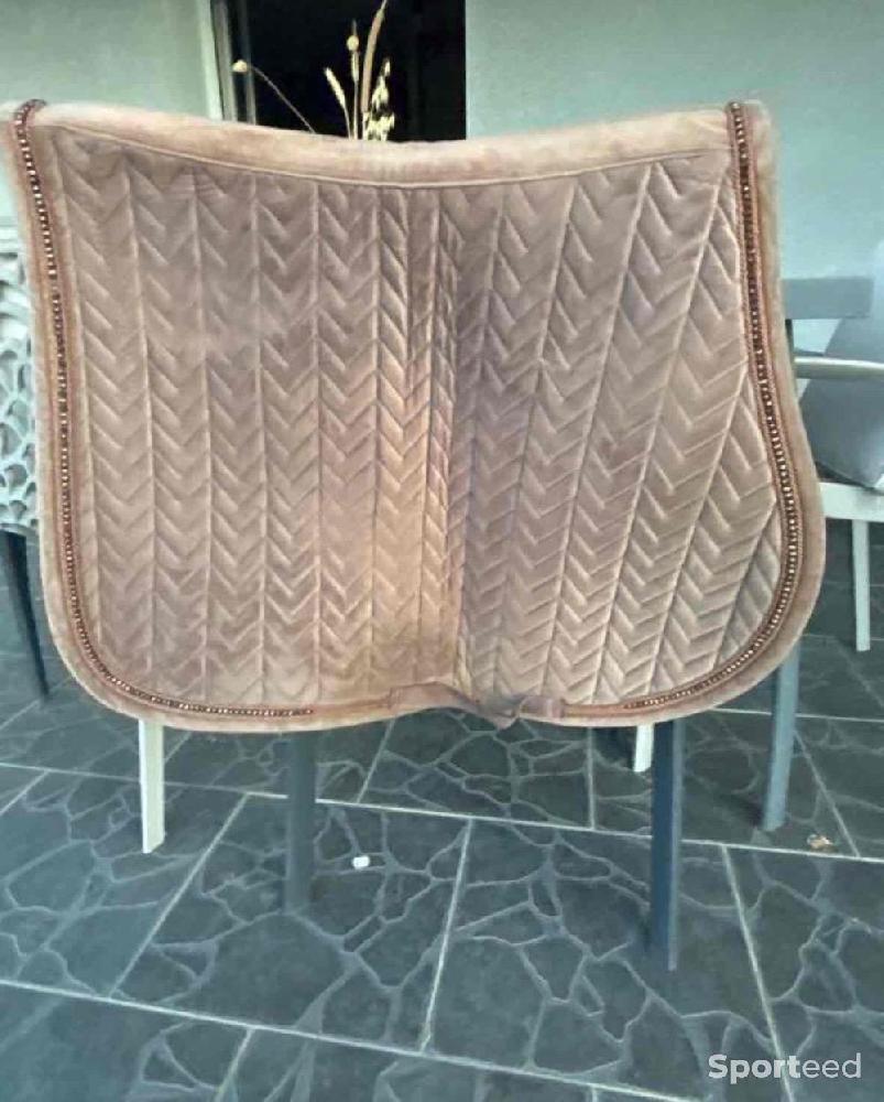 Equitation - tapis cheval  - photo 1