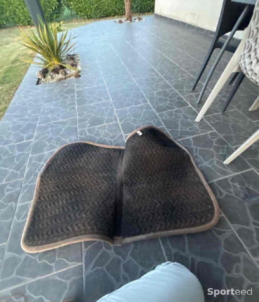 Equitation - tapis cheval  - photo 4