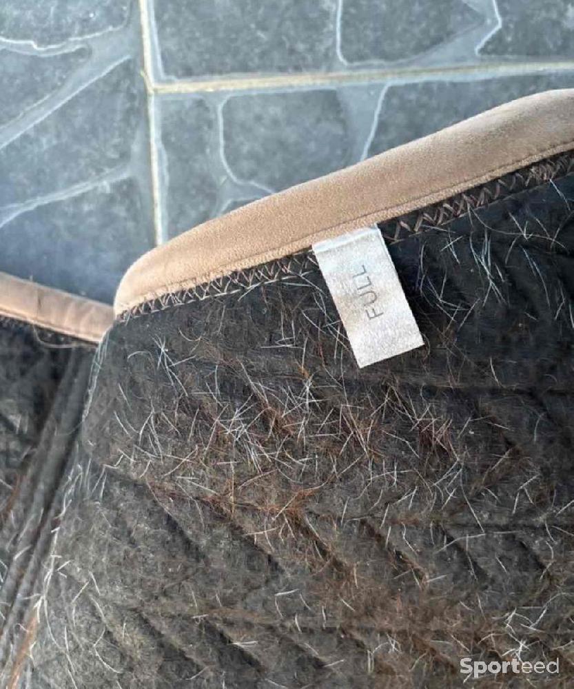 Equitation - tapis cheval  - photo 5