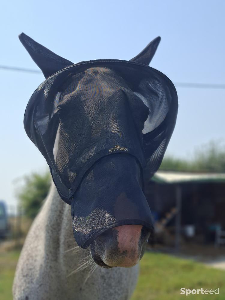 Equitation - Masque mouches taille cob - photo 2