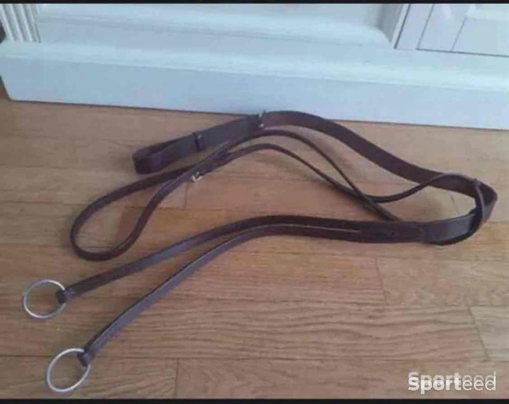 Equitation - Martingale cheval - photo 1