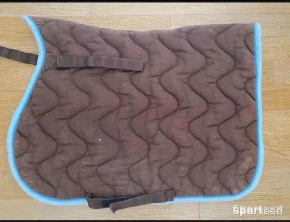 Equitation - Tapis poney - photo 1