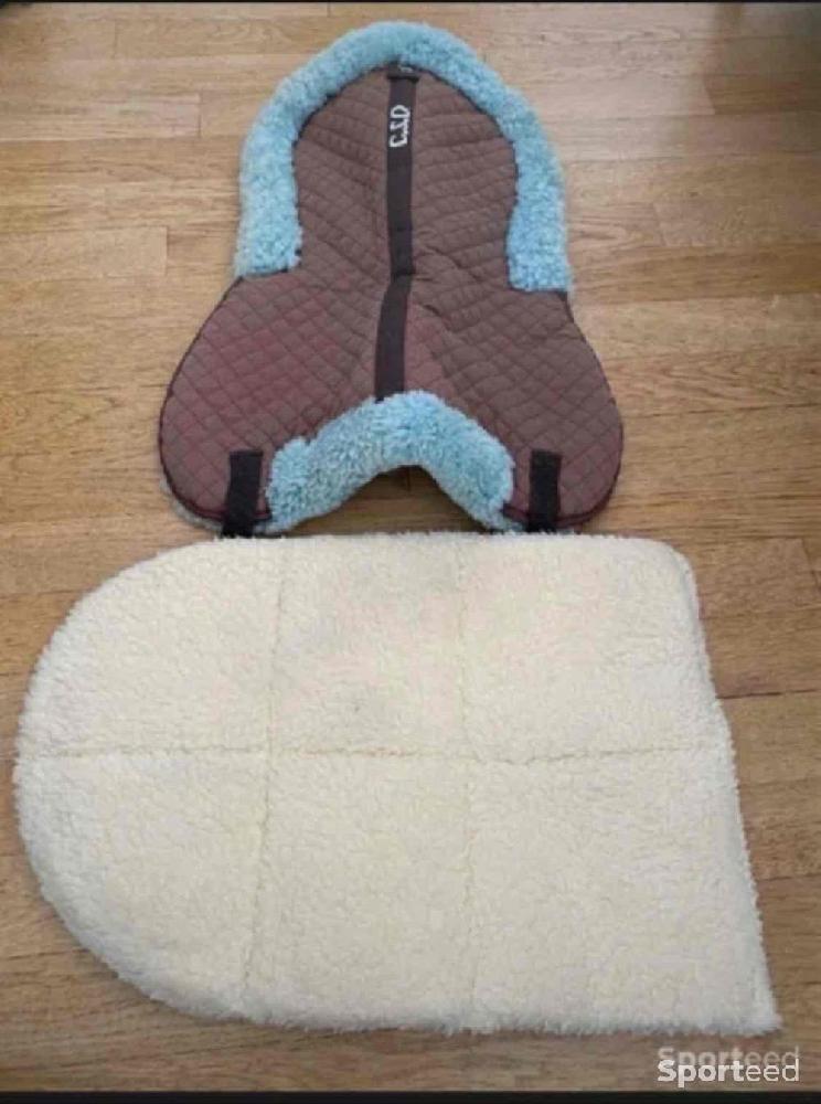 Equitation - Amortisseurs poney - photo 1