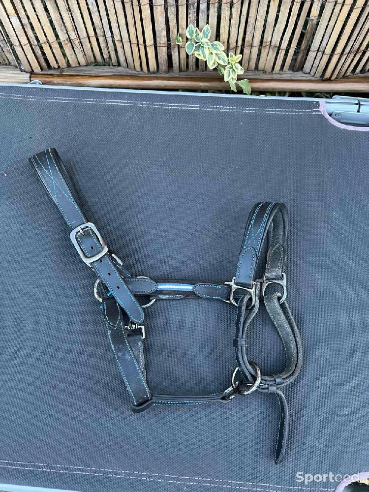 Equitation - Licol en cuir  - photo 2