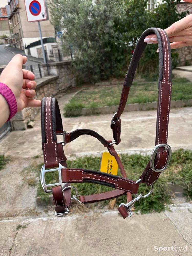 Equitation - Licol cuir - photo 2