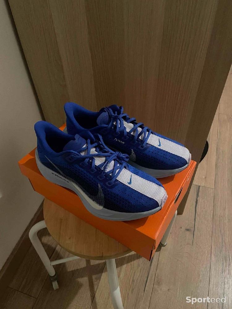Course à pied route - Nike Pegasus Plus CM - photo 1