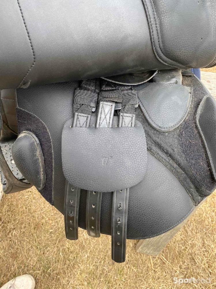 Equitation - Selle Norton pro  - photo 5