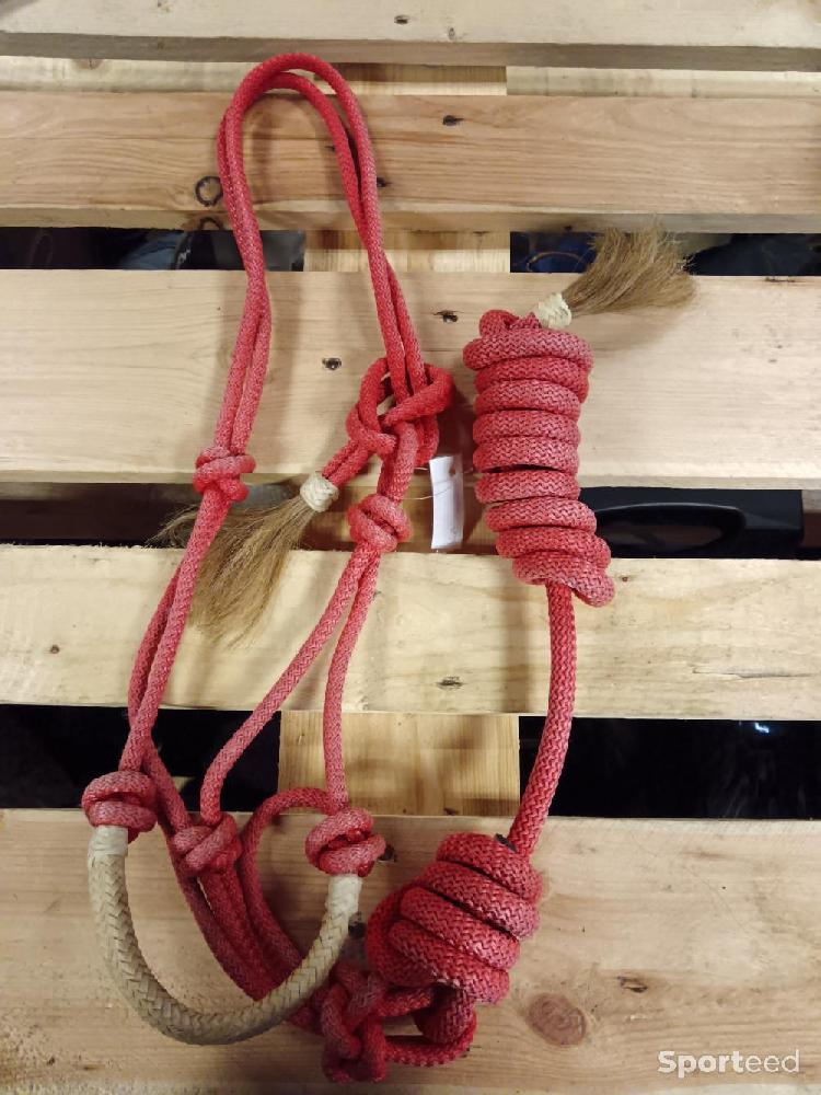 Equitation - Licol éthologique  - photo 1