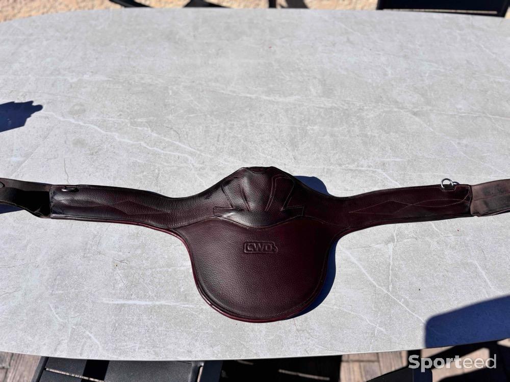 Equitation - Sangle bavette - photo 1