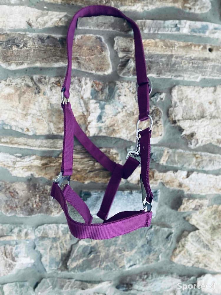 Equitation - Licol violet taille cob neuf  - photo 2