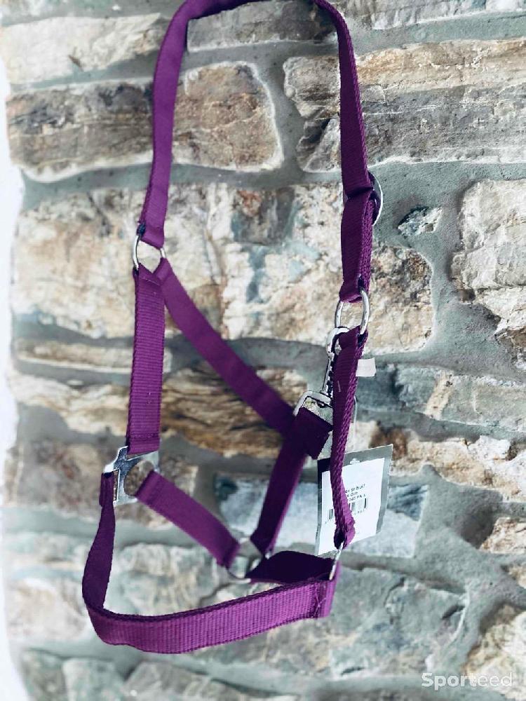 Equitation - Licol violet taille cob neuf  - photo 4