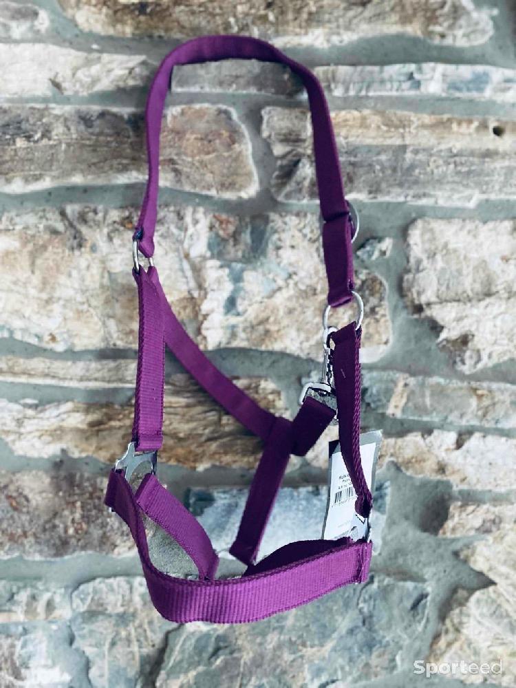 Equitation - Licol violet taille cob neuf  - photo 5