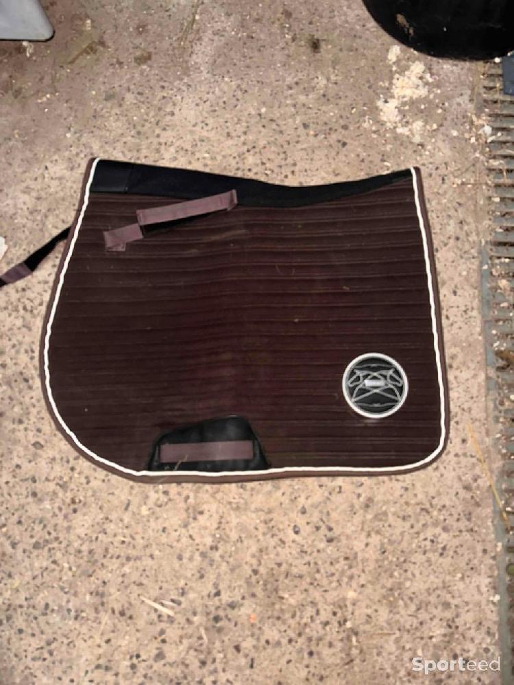 Equitation - Tapis marrons  - photo 2