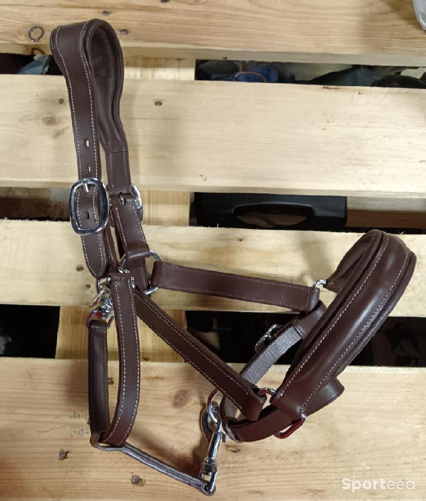 Equitation - Licol - photo 2
