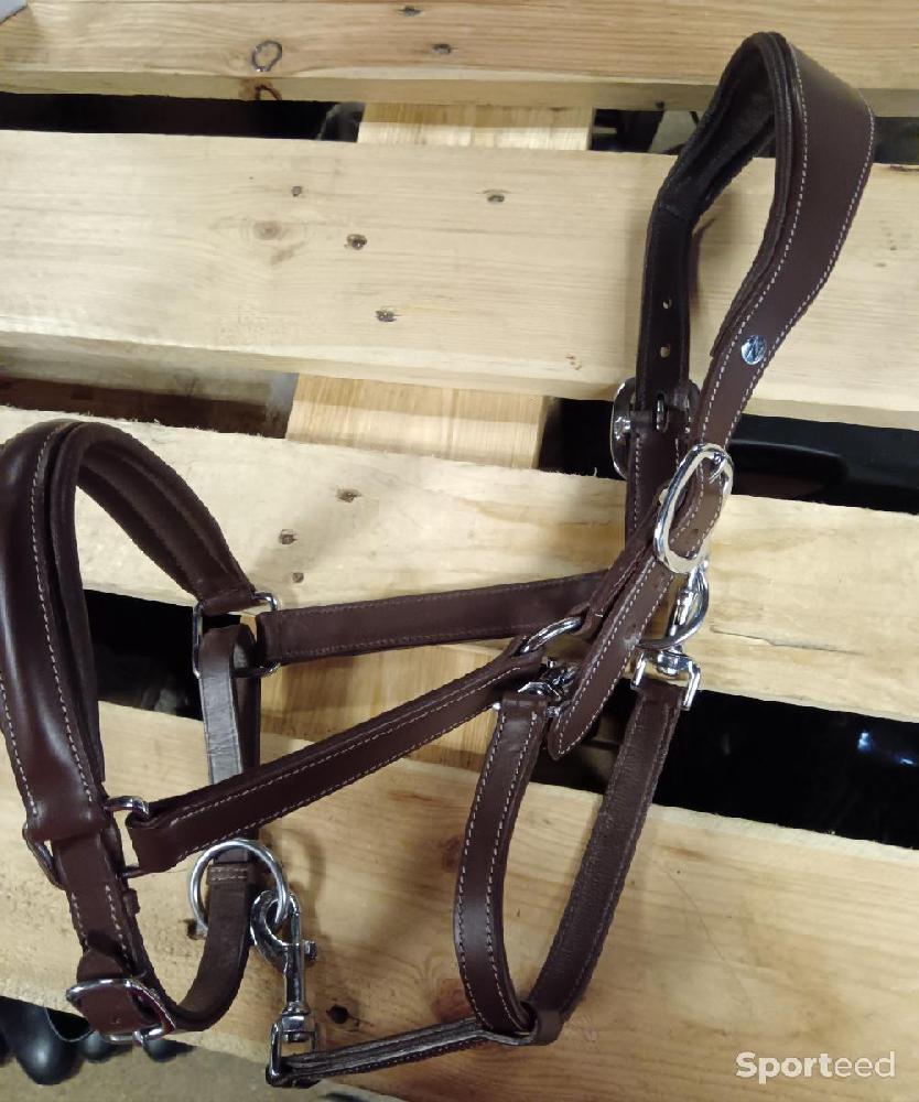 Equitation - Licol - photo 4