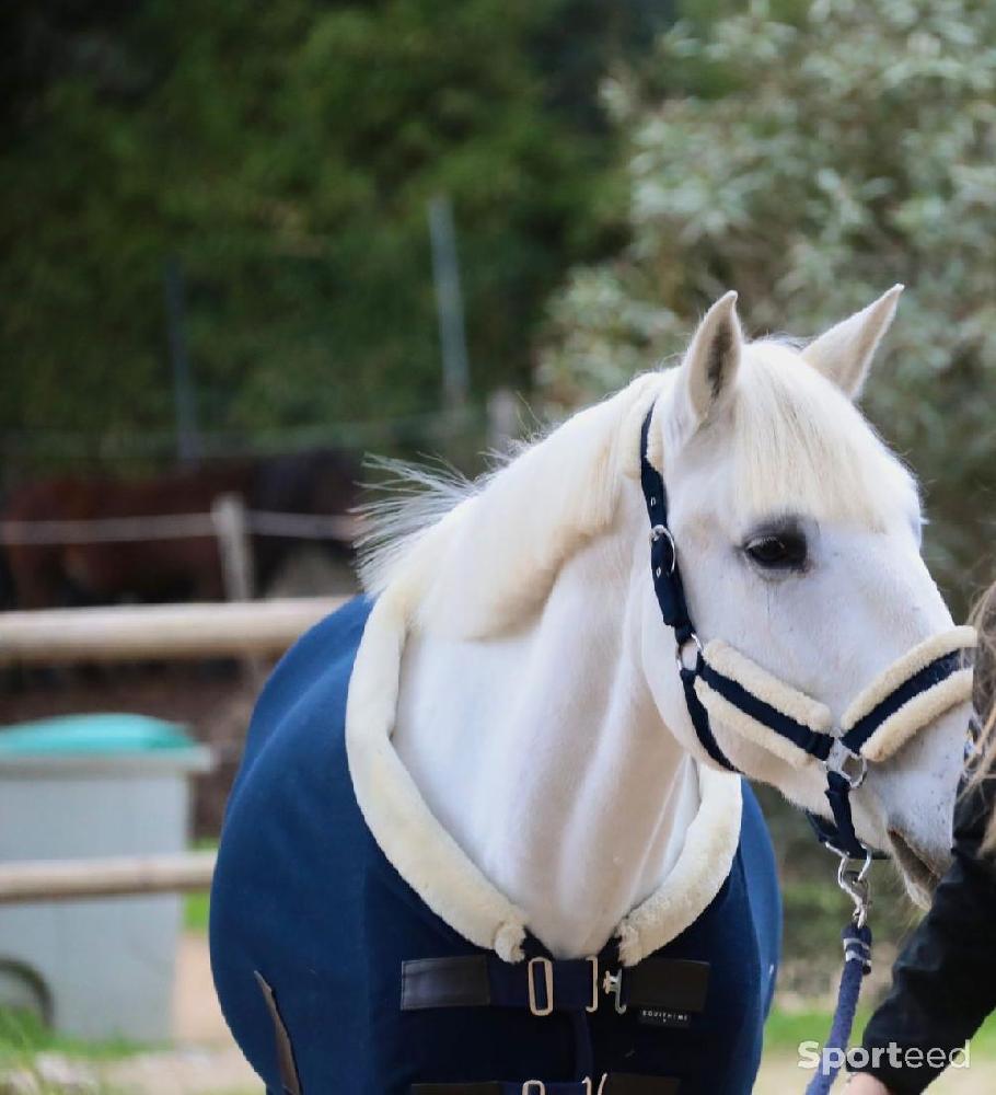 Equitation - Chemise de presentation polaire 135cm - photo 3