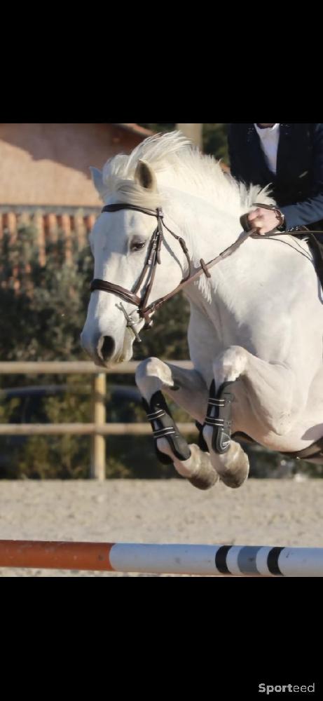 Equitation - Filet taille poney - photo 1