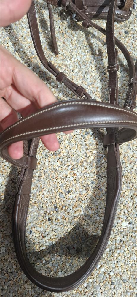 Equitation - Filet taille poney - photo 2